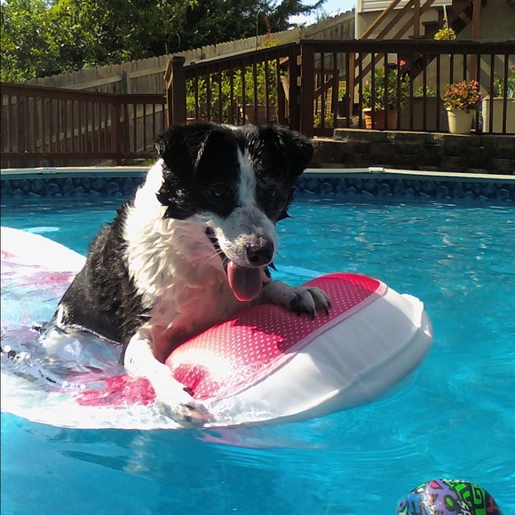 Meet your Posher, Julie - Picture 4 of 7